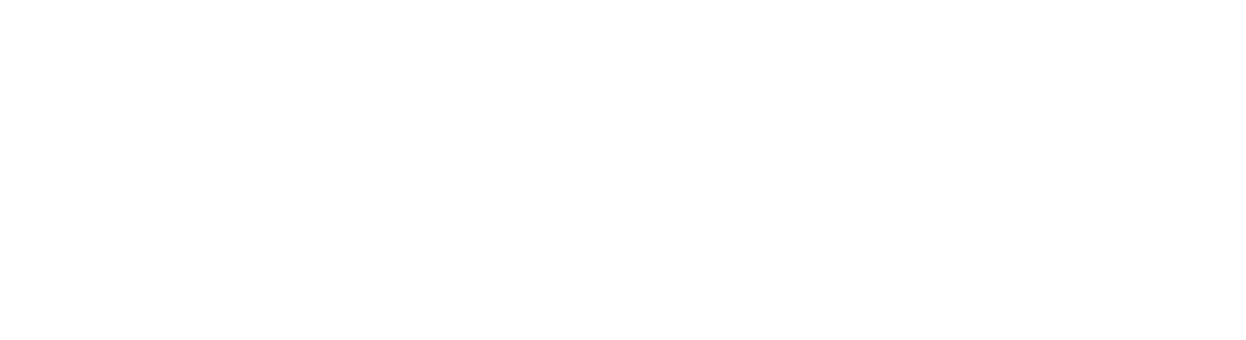 Tammaron Village Apartments logo