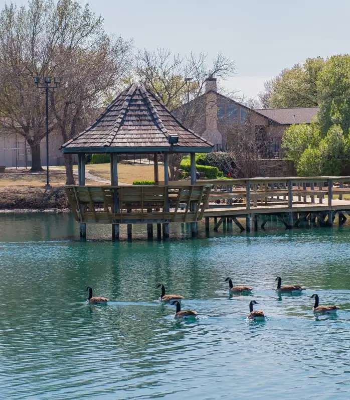 Pond with a Dock, Gazebo, and Geese